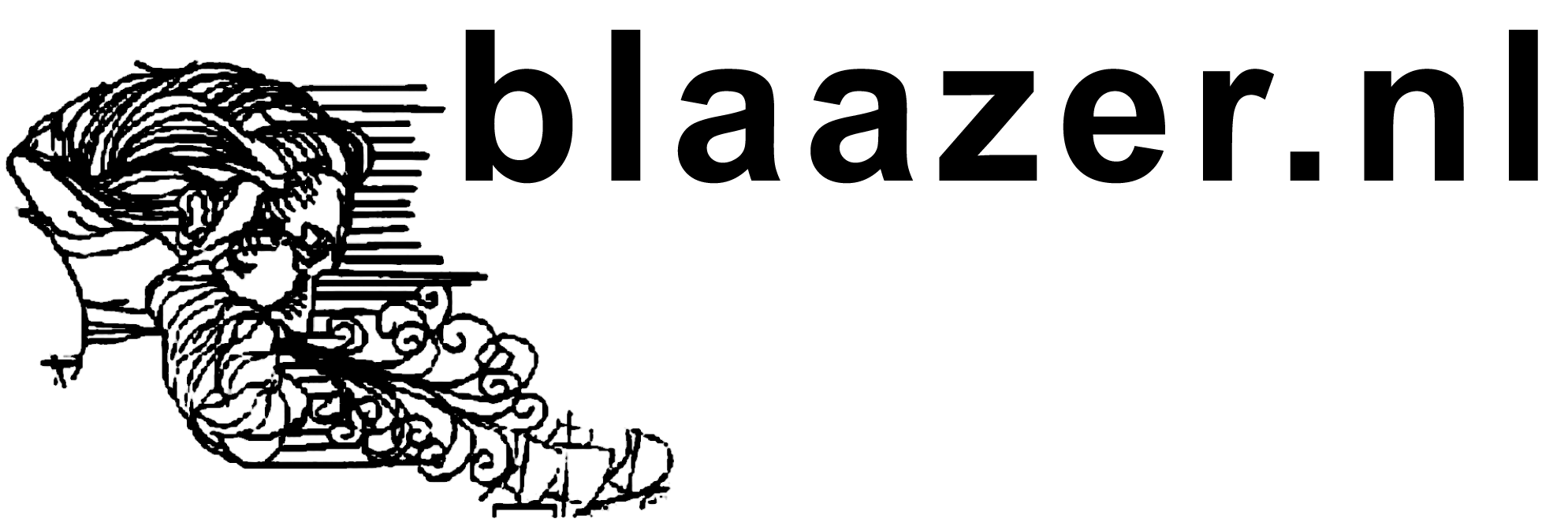blaazer.nl